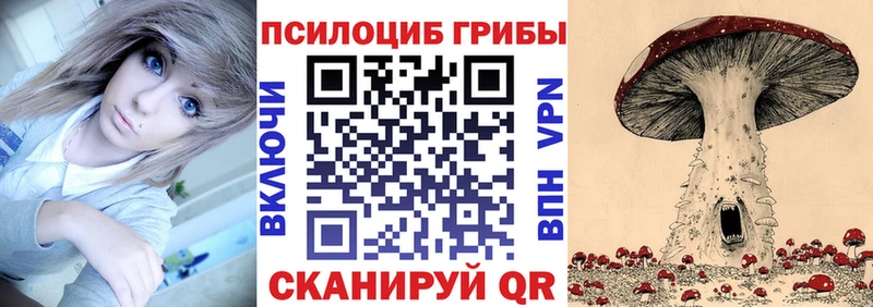 Псилоцибиновые грибы мицелий  Купить закладки  Бугульма 